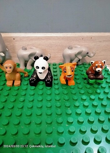 Beden Lego duplo