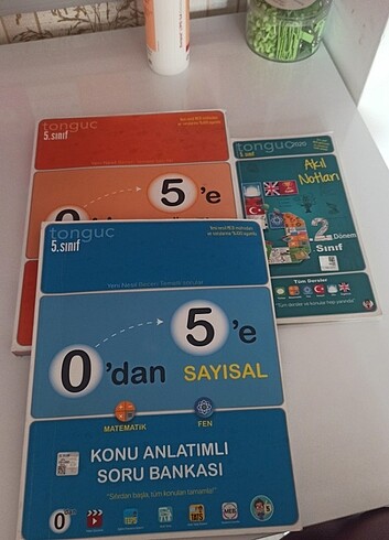 Tonguç 5. Sınıf 