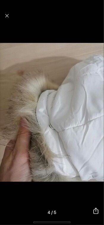 Zara Zara mont
