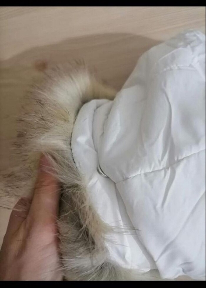 Zara mont - Görsel 2