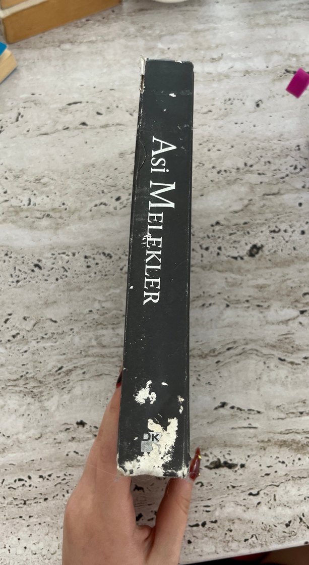 Asi Melekler - Danielle Trussoni - Görsel 2