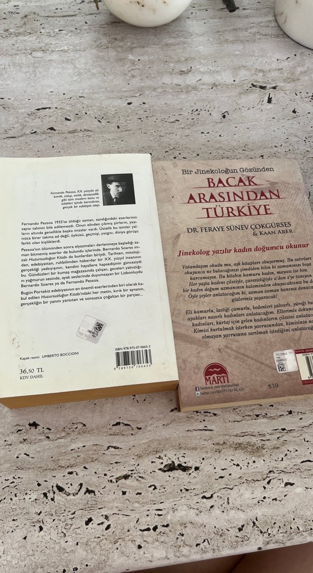 Fernando Pessoa ve Türkiye Kitapları - Görsel 2