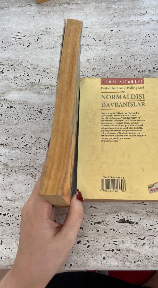 Semerkant ve Psikodinamik Psikiyatri Kitapları - Görsel 3