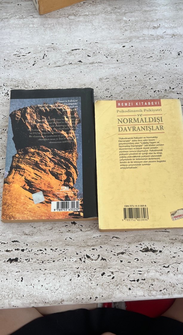 Semerkant ve Psikodinamik Psikiyatri Kitapları - Görsel 2