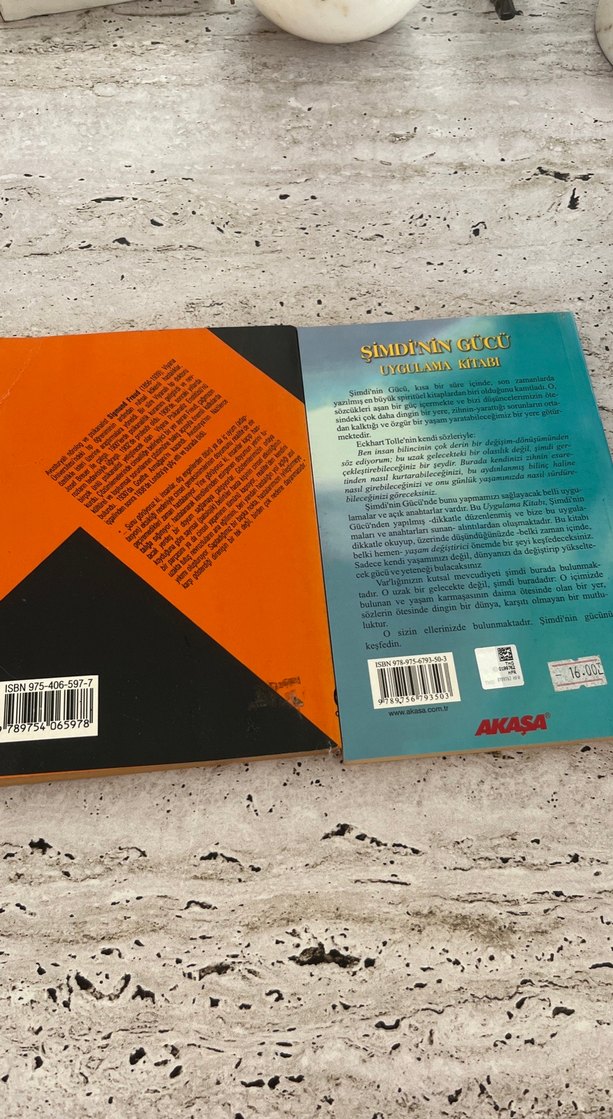 Freud ve Eckhart Tolle Kitapları - Görsel 2