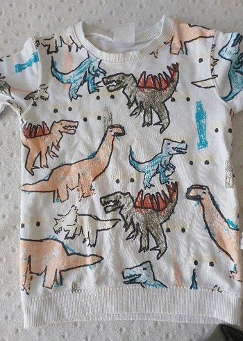 2 Yaş Beden Bebek Erkek Çok Renkli Dinozor Desenli Takım