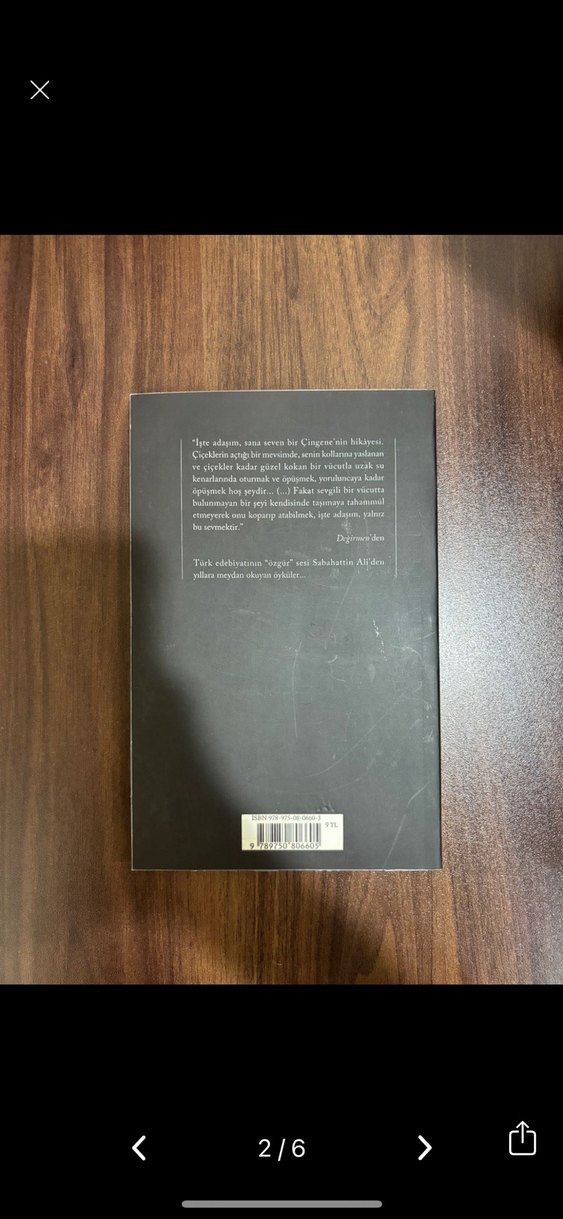 Değirmen - Sabahattin Ali Romanı - Görsel 2