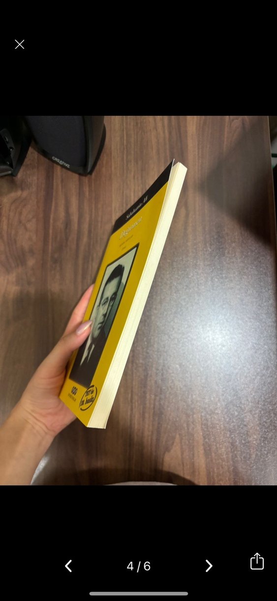 Değirmen - Sabahattin Ali Romanı - Görsel 4