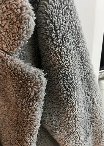 Gri Kaban - Görsel 3