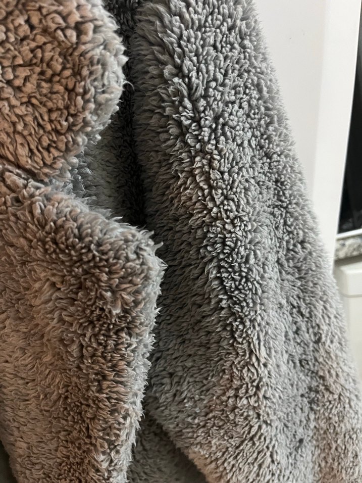 Gri Kaban - Görsel 3