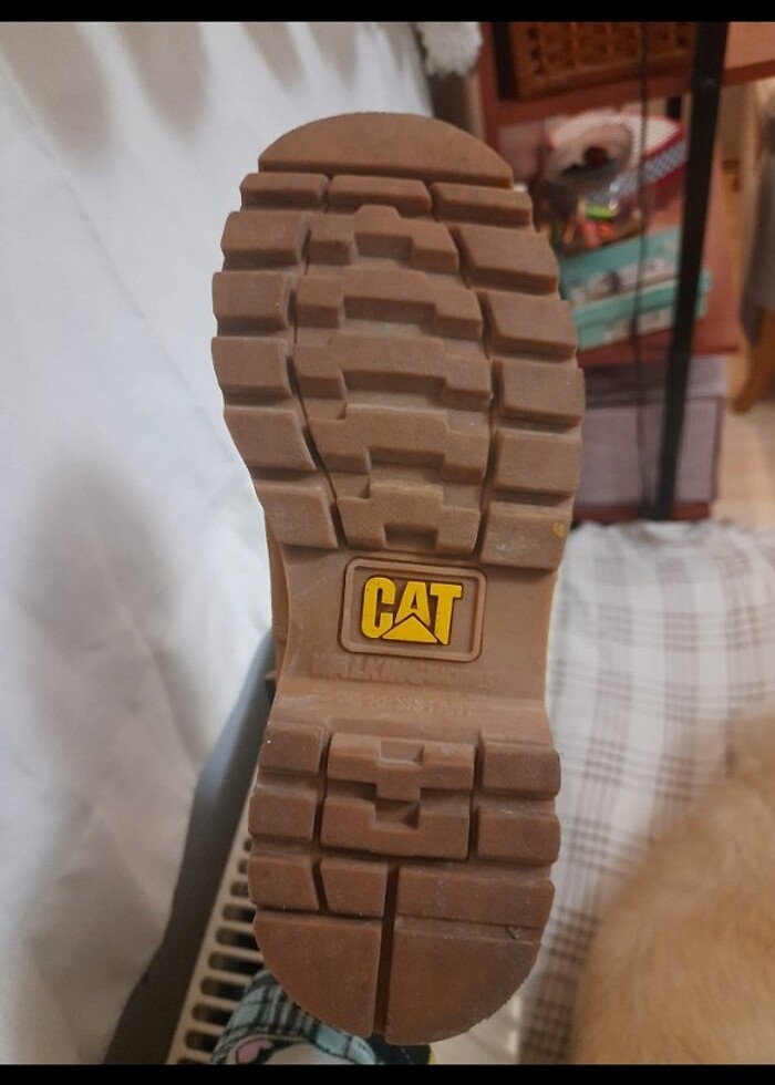 ORJİNAL CAT bot - Görsel 4