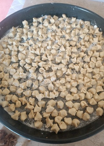 el mantisi Ankara - Görsel 11