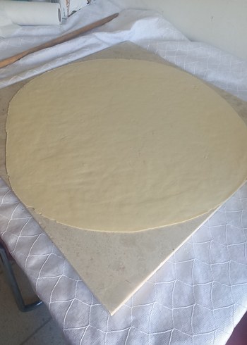 el mantisi Ankara - Görsel 8