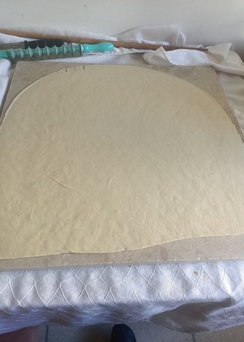 el mantisi Ankara - Görsel 10