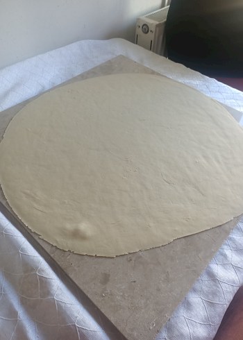 el mantisi Ankara - Görsel 7