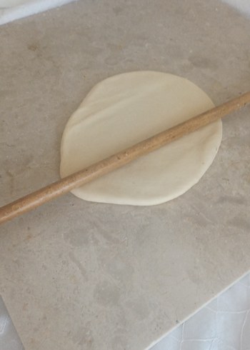 el mantisi Ankara - Görsel 9