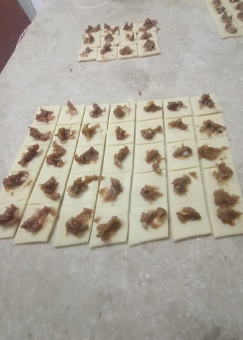 el mantisi Ankara - Görsel 3