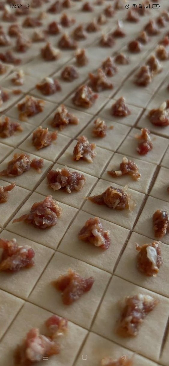 el mantisi Ankara - Görsel 5