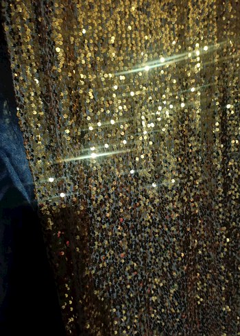 Parlak Altın Nakışlı Modern Perde - Görsel 9