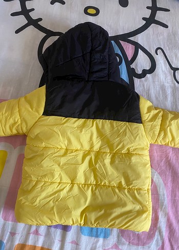 Sarı Kapüşonlu Erkek Çocuk Mont - Görsel 5