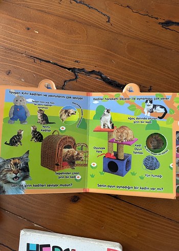 Çocuklar için 4 Hayvan ve Bebek Kitabı - Görsel 3