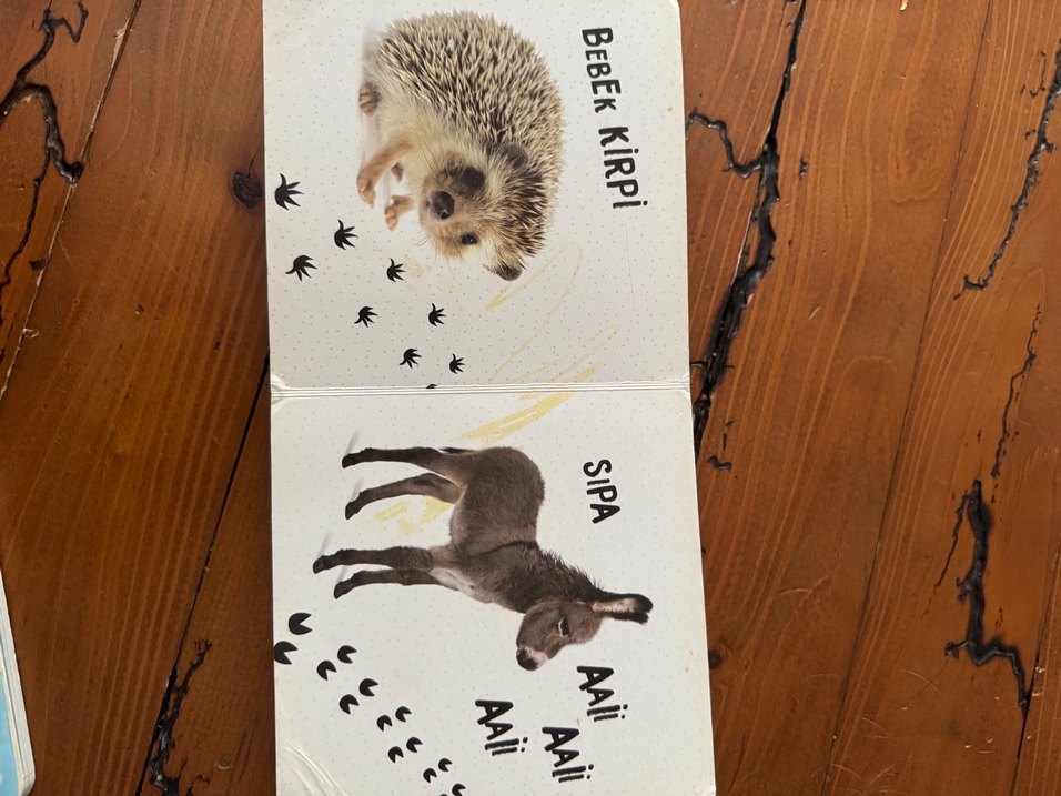 Çocuklar için 4 Hayvan ve Bebek Kitabı - Görsel 5