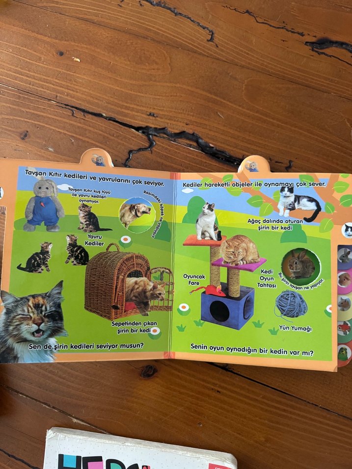 Çocuklar için 4 Hayvan ve Bebek Kitabı - Görsel 3