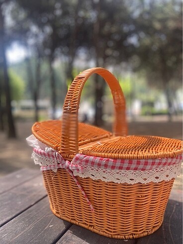 Diğer Piknik sepeti