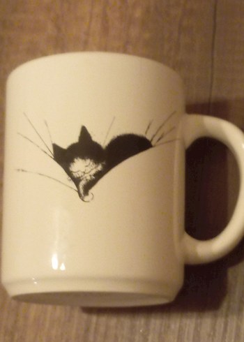 Beyaz Uyuyan Kedi Desenli Seramik Kupa - Görsel 7