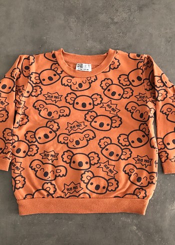 24-36 Ay Beden kahverengi Renk Erkek Çocuk Uzun Kollu Sweatshirt
