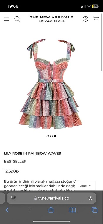 42 Beden LILY ROSE IN RAINBOW WAVES