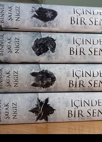 İçinde bir sen 