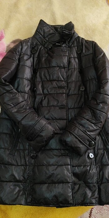 Koton mont