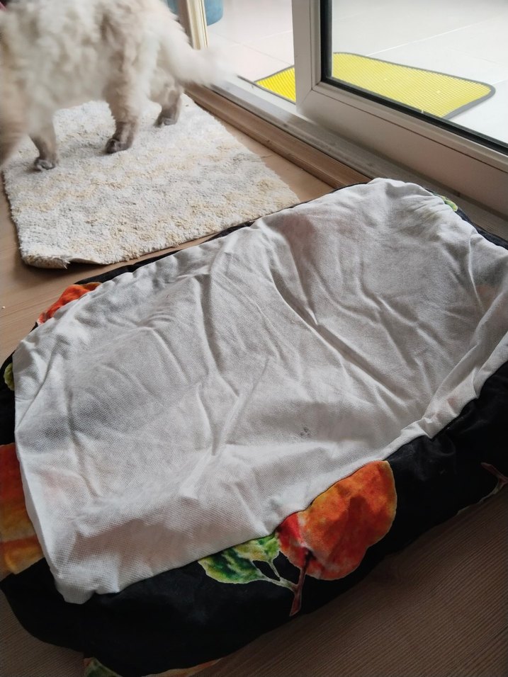 kedi yatagi - Görsel 3