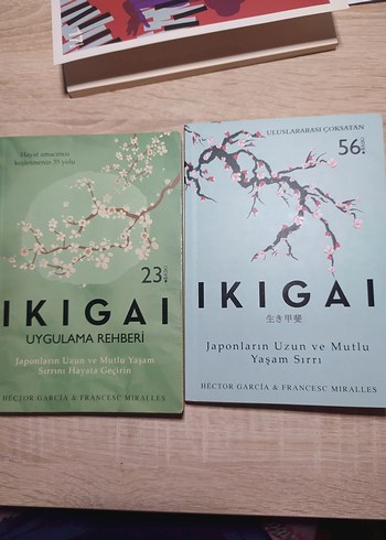 Ikigai - Japonların Uzun ve Mutlu Yaşam Sırrı