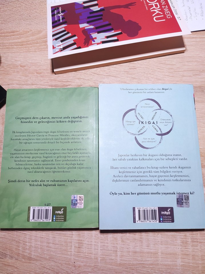 Ikigai - Japonların Uzun ve Mutlu Yaşam Sırrı - Görsel 2