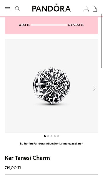 Kar Tanesi Charm
