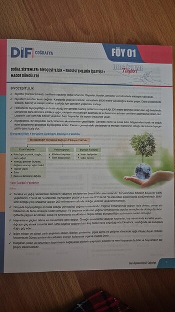 Coğrafya Ayt Dif 