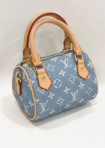 Louis Vuitton Louis vuitton Spedy 17x12