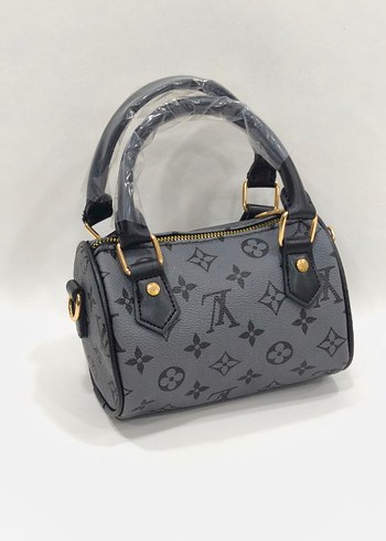 Louis Vuitton Louis vuitton Spedy 17x12