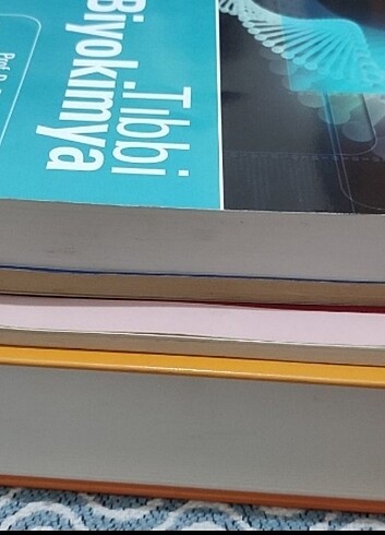 Beden Ders Kitapları