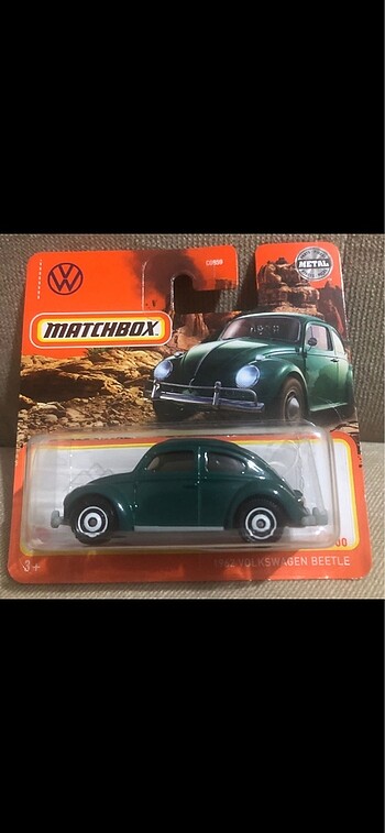 Matchbox beetle