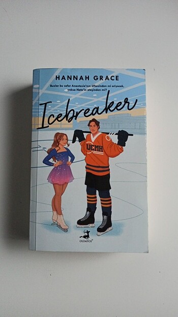 Icebreaker kitap