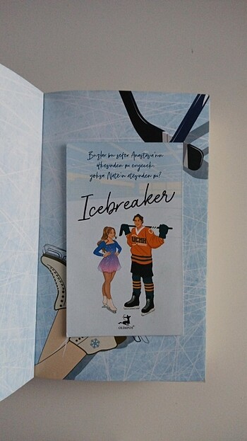  Beden Renk Icebreaker kitap