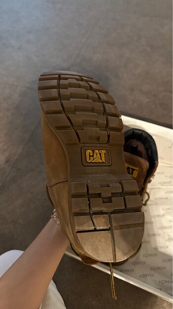 42 Beden Cat bot