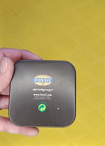 Fossil Fossil takı kutusu