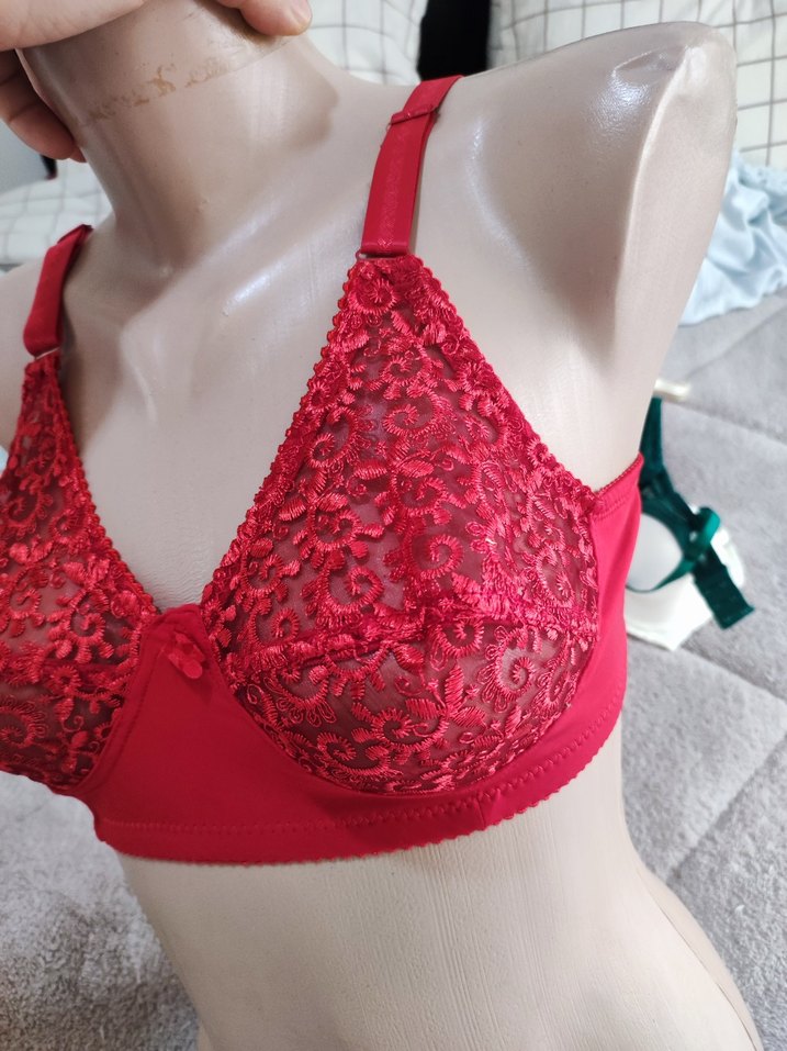 Nakışlı Kırmızı Konvansiyonel Sütyen - Görsel 4