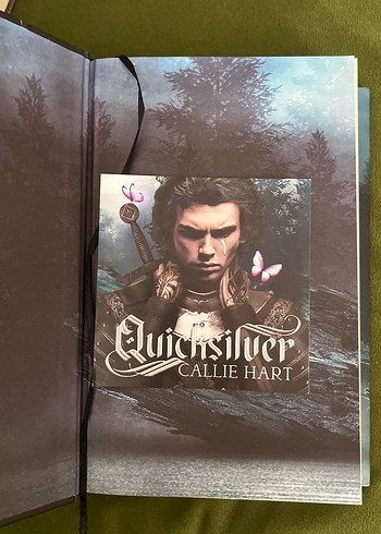 Beden Quicksilver - Callie Hart