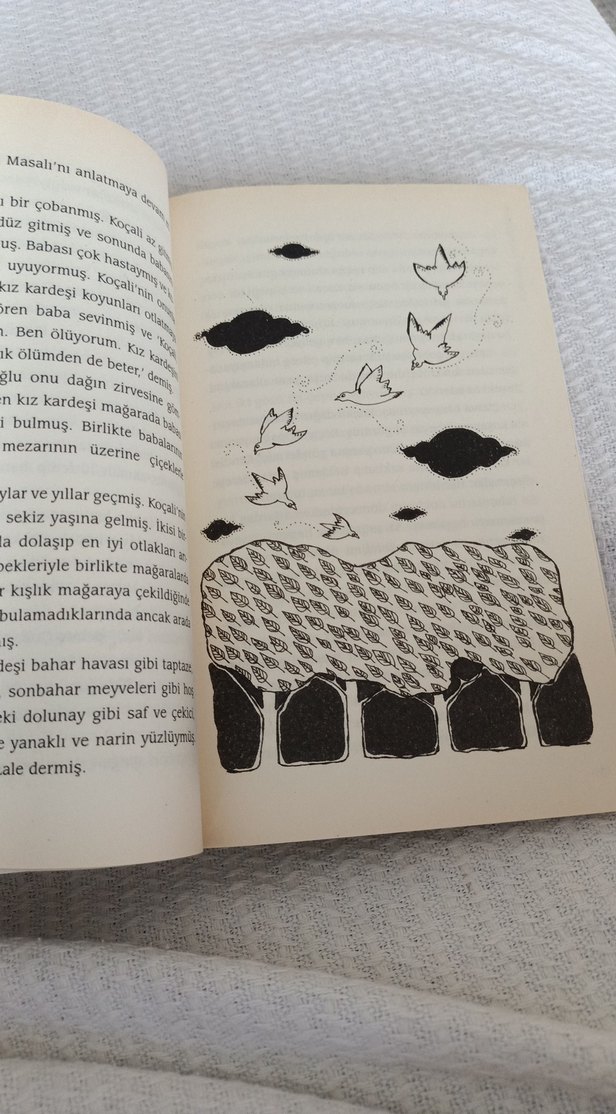 Sevgi Masalı - Samed Behrengi - Görsel 4