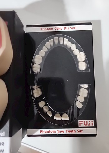 fuji fantom çene (28li)